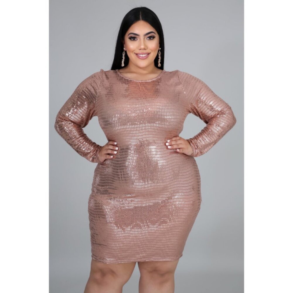 Plus Size Rose Gold Mirror Sequins Mini Dress